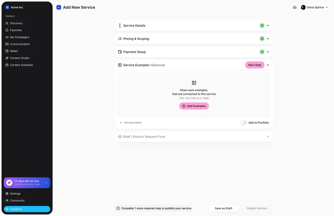 Add New Service: collapsible steps with green checks, the optional Service Examples step open, and what is left to publish